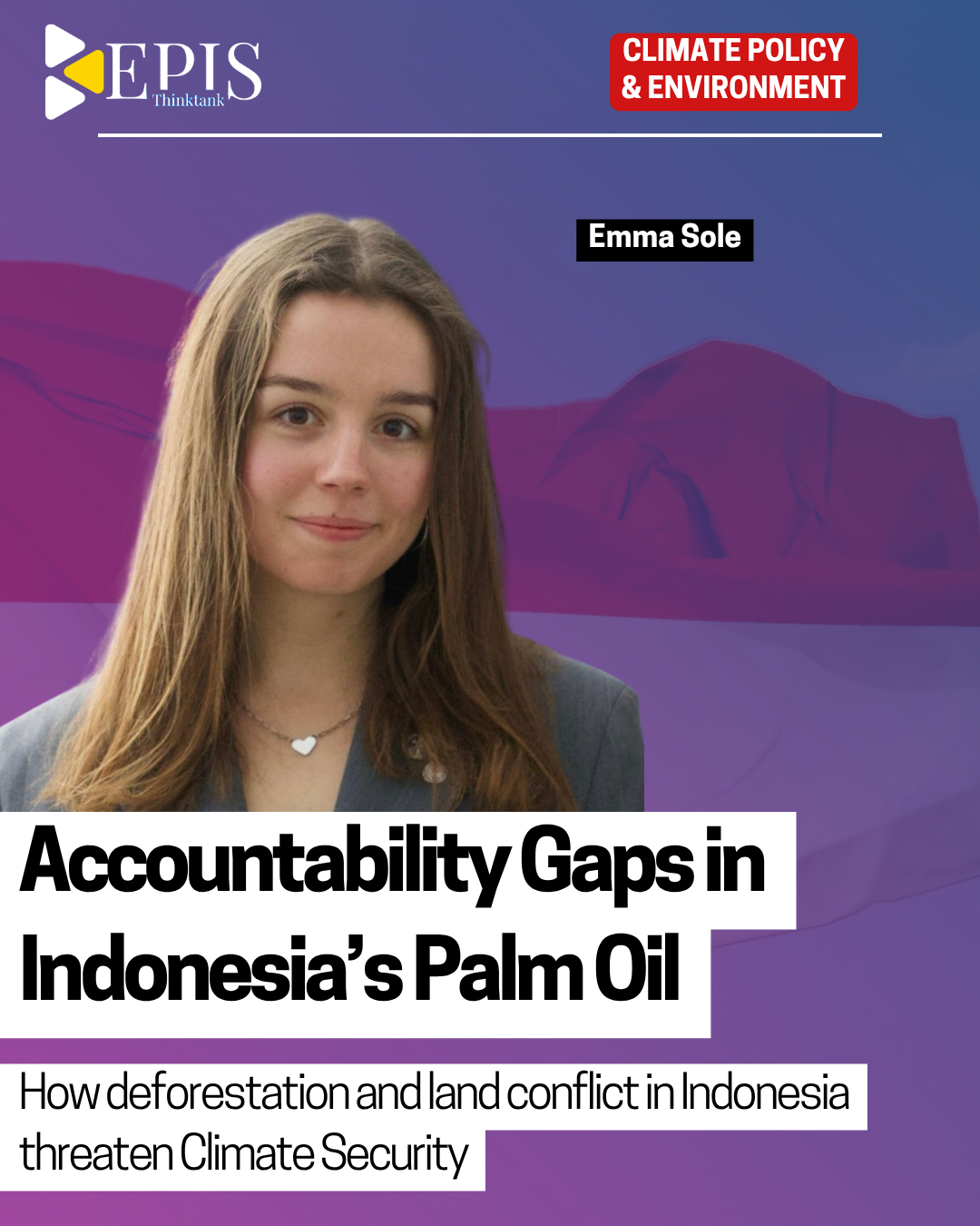 Accountability Gaps in Indonesia’s Palm Oil